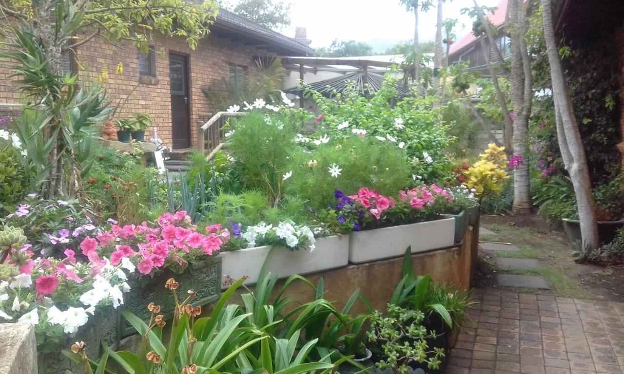 Marlin Cottage ชินท์ซา ภายนอก รูปภาพ