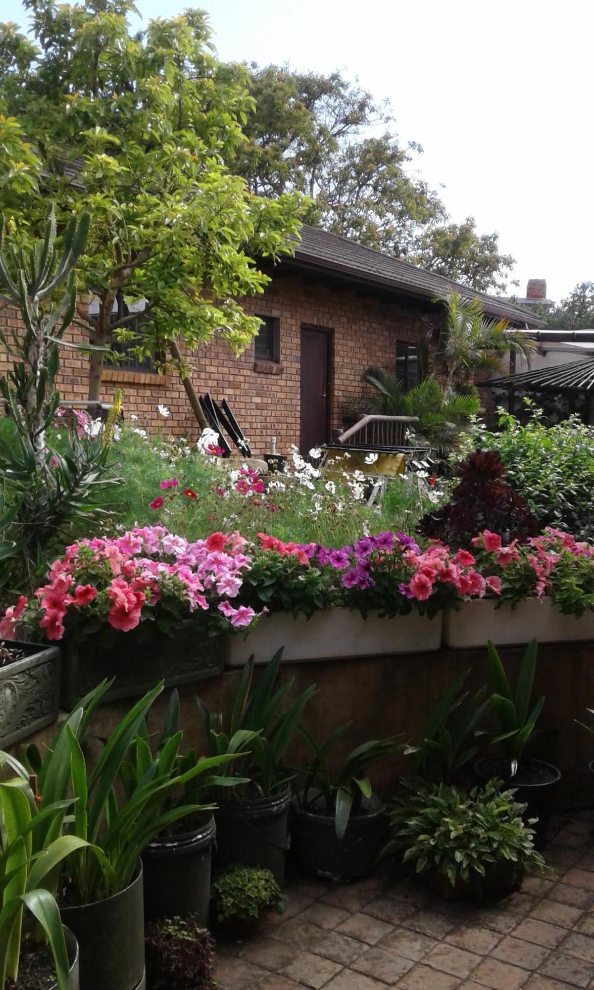 Marlin Cottage ชินท์ซา ห้อง รูปภาพ